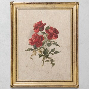 Red Roses Vintage Botanical Art Print | Minimalistic Floral Wall Decor ...