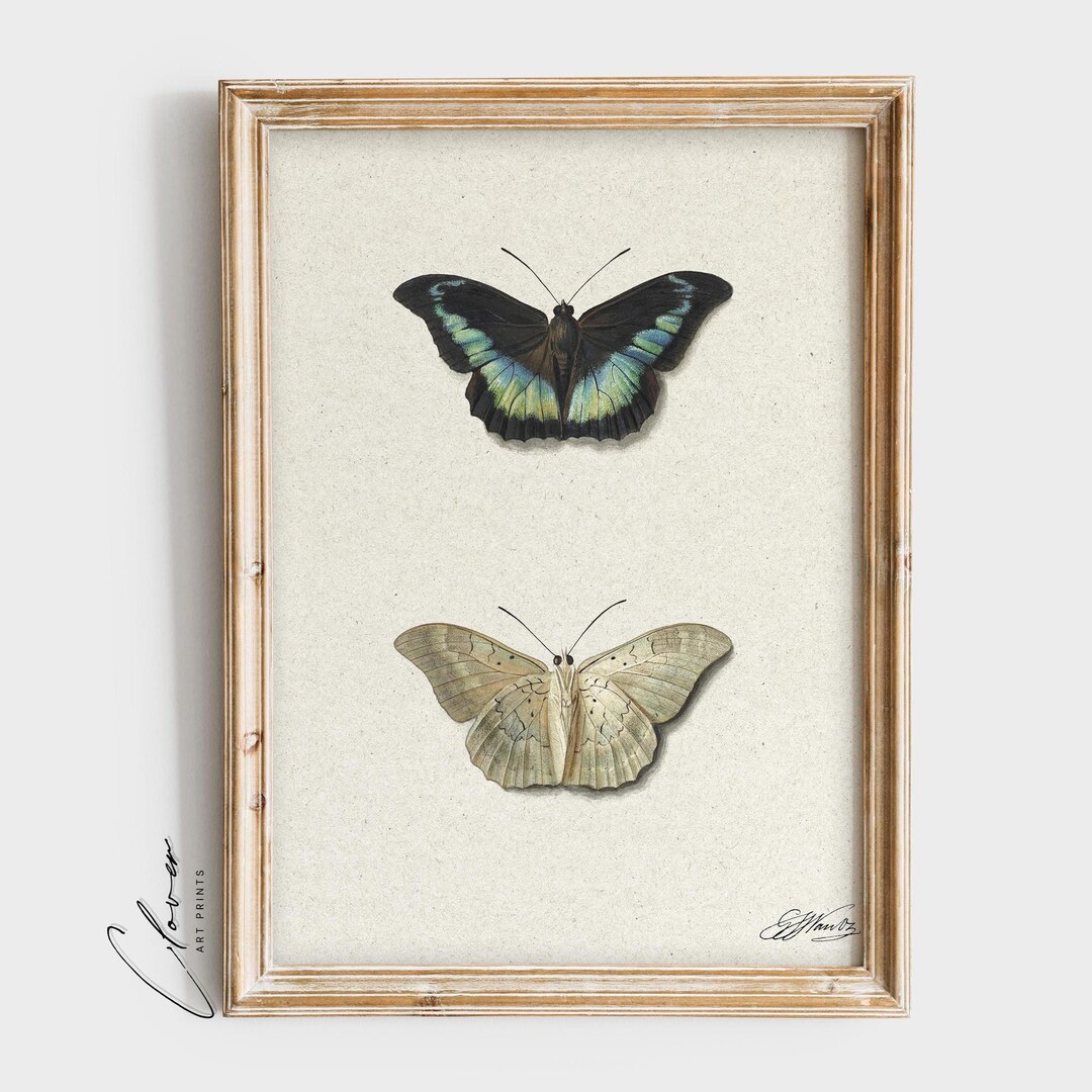 Butterfly Theme Vintage Art Print | Minimalistic Insect Wall Art ...