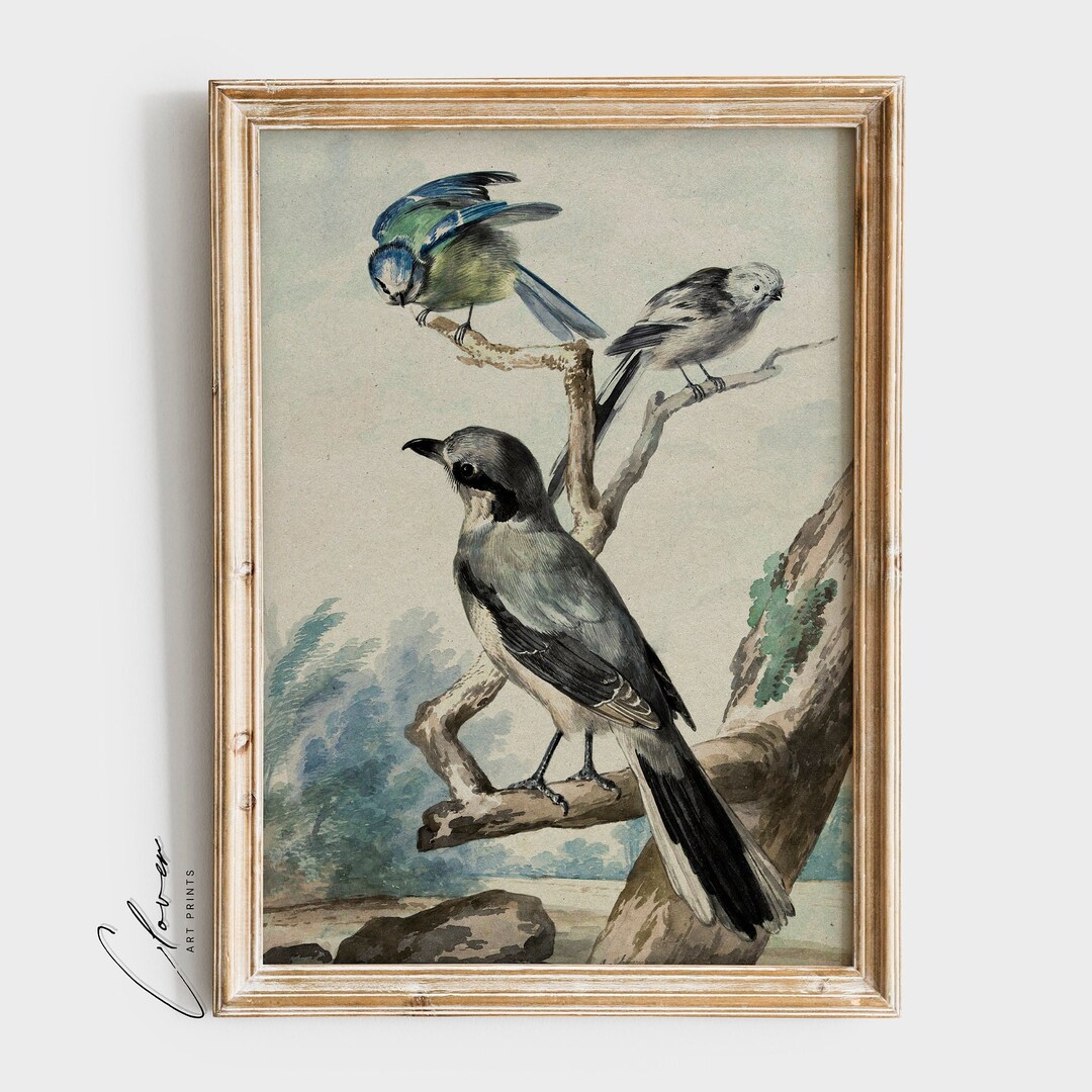 Lot De 10 Impressions Murales Anciennes - Partitions Musicales Vintage Avec Oiseaux - Art Mural Personnalisable