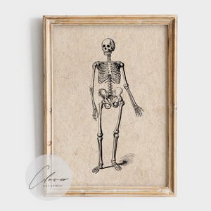 May include: A framed vintage print featuring a detailed black and white illustration of a human skeleton. The artwork is set against a textured, off-white background, and the frame is a light, natural wood color. The print is a classic anatomical study.