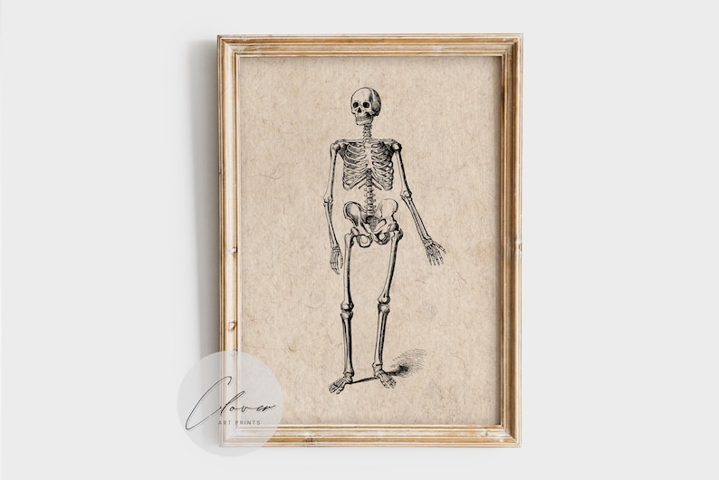 Vintage Skeleton Anatomy Art Print – Gothic Medical Illustration ...