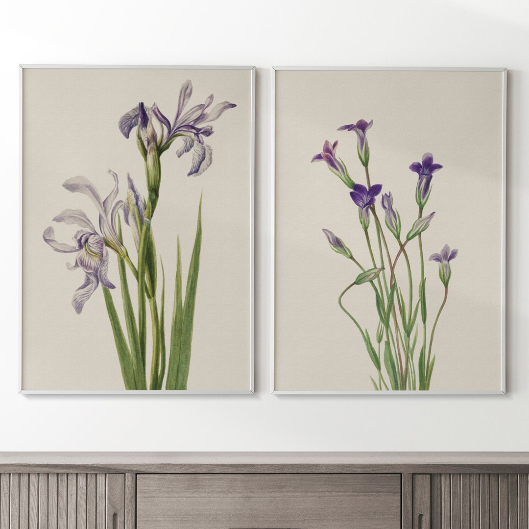 Wild Iris Painting Set | Vintage Botanical Artwork | 2 Set Digital Art ...