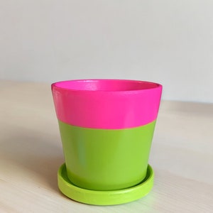 May include: A small, bright pink and green ceramic planter with a matching saucer. The planter is perfect for small plants or succulents.