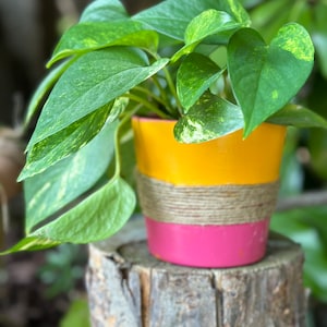 5&quot; Colorblock & Twine Terracotta Planter - Saffron/Hot Pink with Twine // Ceramic Pot w/drainage // Hand painted