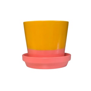 May include: A yellow and pink ceramic planter with a matching saucer. The planter is a simple, modern design.