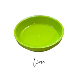 May include: A bright lime green plastic saucer, perfect for a small plant or succulent.