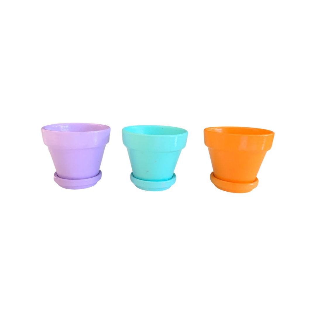 AREAWARE Porcelain & Terracotta Planter, 2 Sizes, 2 Colors, Glazed &  Unglazed on Food52