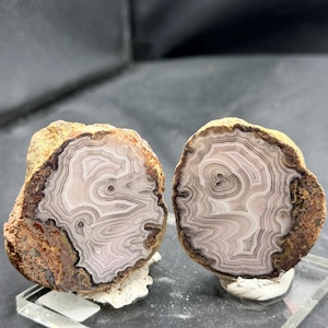 May include: Two halves of a split geode featuring concentric bands of light gray, white, and dark brown mineral layers. The exterior of the stone is rough, textured, and earthy brown, contrasting with the smooth, polished, and intricate interior patterns.