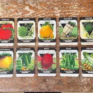 Vintage 1930s Seed Packets (Empty) New Old Store Stock Lithograph