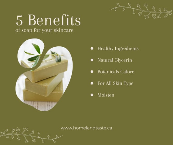 Olive 2024 oil soap
