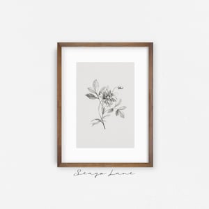 Flower Bloom Botanical Sketch | Vintage Wall Art Digital Printable | Hand-drawn Floral Sketch Neutral Colors | SL157