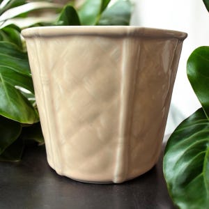May include: A pale beige ceramic planter with a textured, woven design. The planter has a hexagonal shape and a wide, rounded base.