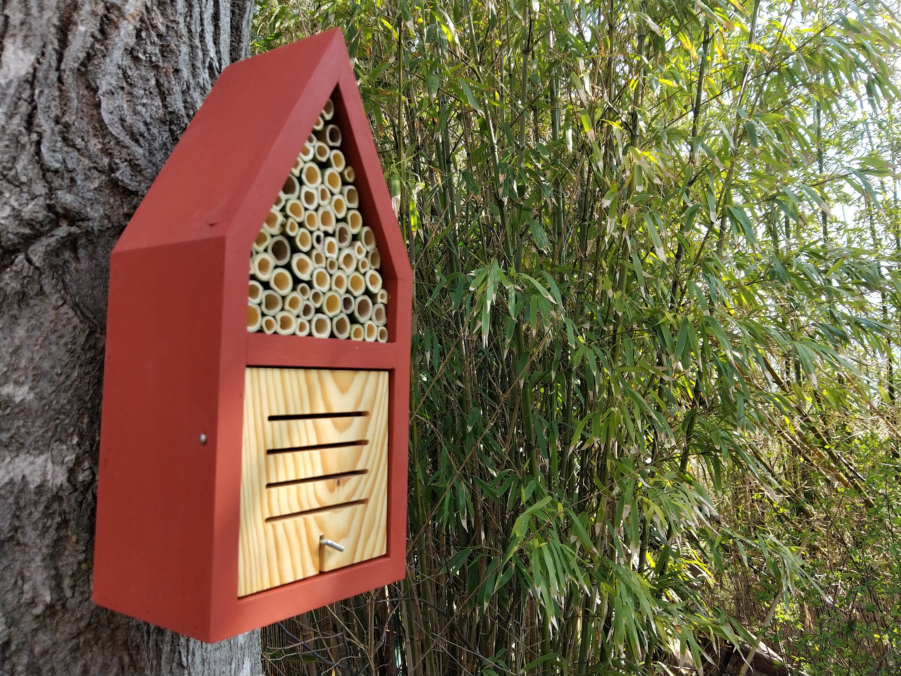 Hôtel à Insectes Pour Abeilles, Chrysopes Verte, Coccinelles