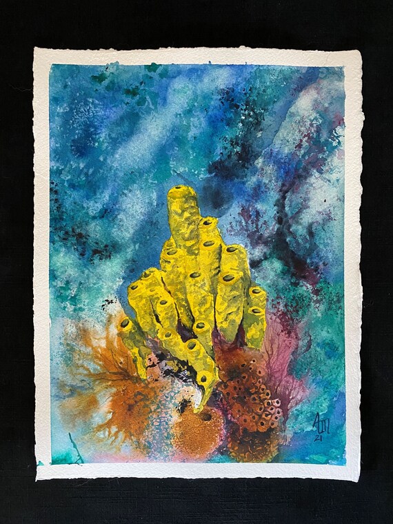 Watercolor Painting Sponge