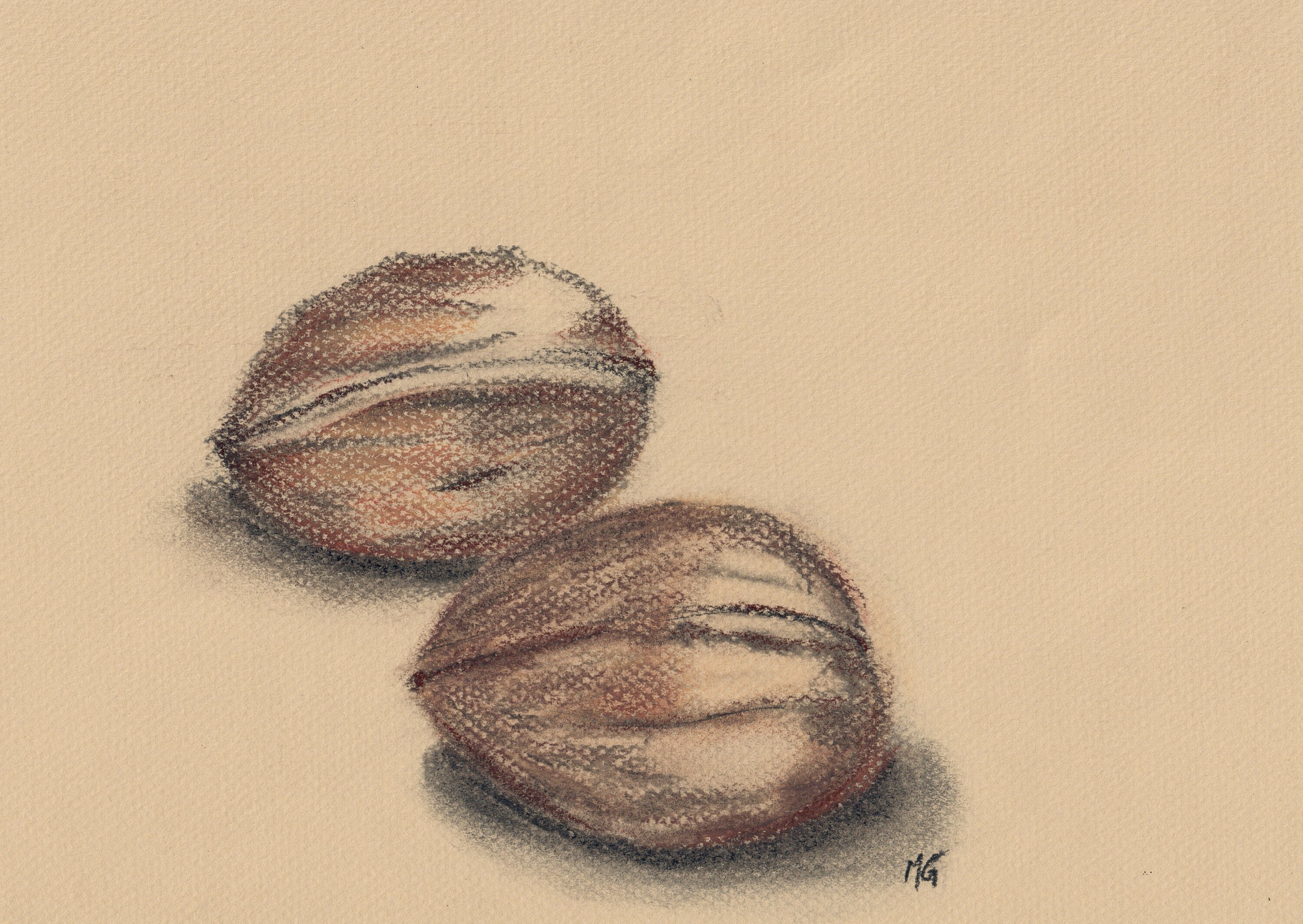 Nature Morte Noix Pastels Secs 33 X 25 cm