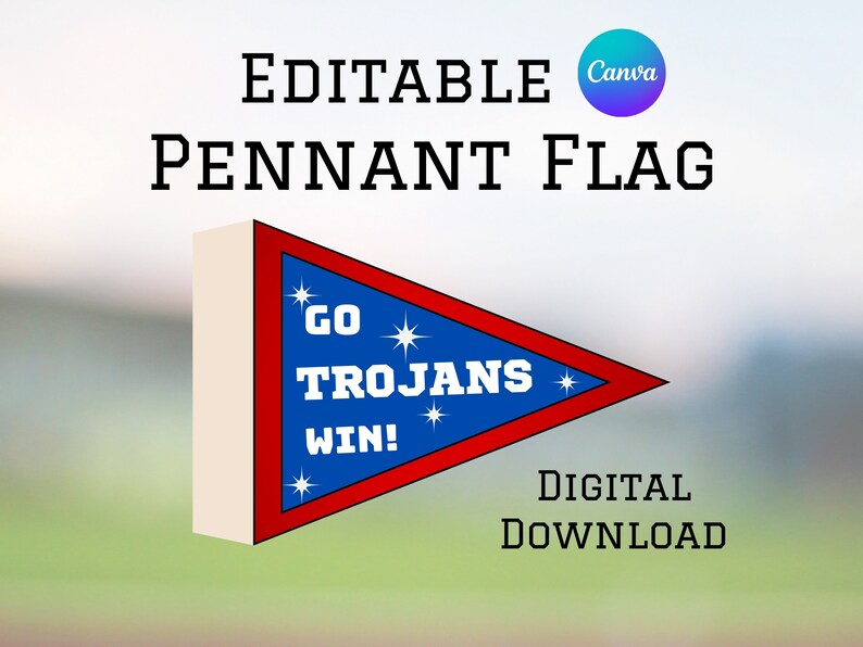 Editable Party Flags Pennant Flag | Editable Template in Canva | Printable | Use for Sports ...