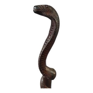 Op de afbeelding: Een donkerbruine, gesneden houten cobra-stok met een gedetailleerd, getextureerd oppervlak. De kop van de slang is omhoog en het lichaam buigt sierlijk. De stok is een decoratief item, waarschijnlijk voor verzamelaars of als uniek accessoire.