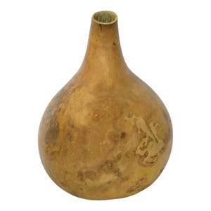 May include: A gourd-shaped vase with a narrow neck and a rounded body. The vase has a natural, earthy color with mottled brown and tan patches. The opening at the top is a lighter shade of green.