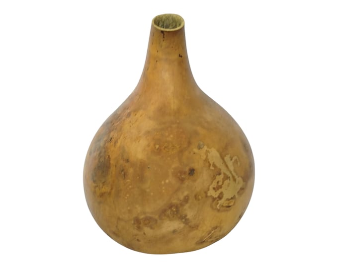 Natural Dried Gourd - Versatile Craft & Decor Item - Cultural Wall Art- Unique Home decor