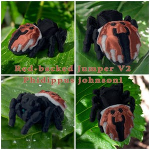 Figura de araña saltadora, regalo de araña saltadora impresa en 3D, araña saltadora de espalda roja, decoración de araña saltadora