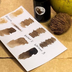 May include: A black dropper bottle, a whole walnut, and a green fruit next to a white paper swatch card. The card features brown ink samples labeled Acorn, Walnut 1, Walnut 2, and Walnut 3, showing varying shades of brown pigment.