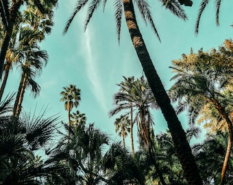 YVES SAINT LAUREN - Garden in Marrakech