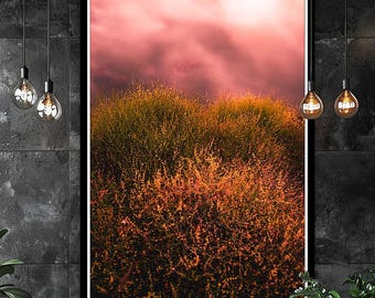 Natural Scenery - Lake in Portugal