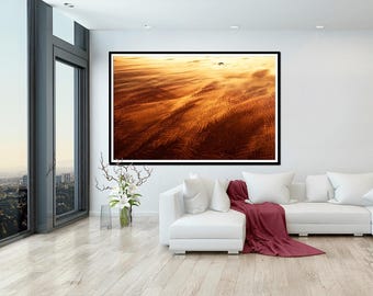 Golden Quarantine Sand Dune One