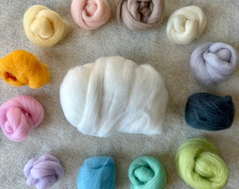 May include: A large central bundle of white wool roving surrounded by twelve smaller, individual bundles of wool roving in various colors including yellow, peach, beige, cream, lavender, dark gray, pink, light purple, blue, mint, and lime green.