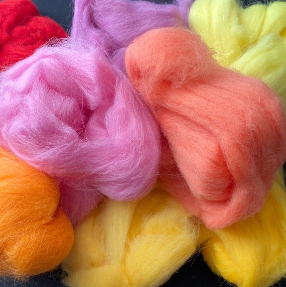 Wool Roving for Basic Needle Felting Supplies Multi Color 