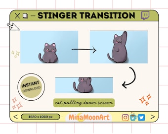 May include: A digital illustration of a gray cat pulling down a screen. The cat is shown in three different positions, with the screen being pulled down further in each position. The text "cat pulling down screen" is below the image. The text "STINGER TRANSITION" is at the top of the image.
