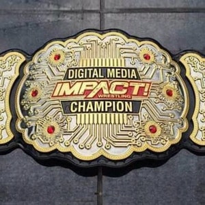 DIGITAL MEDIA IMPACT world heavyweight wrestling championship title belt