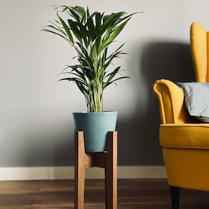 May include: A green potted plant on a wooden plant stand. The plant stand has four legs and is made of dark wood. The plant is in a blue pot with a textured surface. The plant is in front of a yellow armchair.
