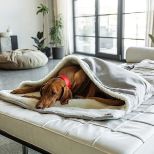 Large dog blanket Warm Puppy sleeping bag Pet cave bed Plush Pet hooded blanket