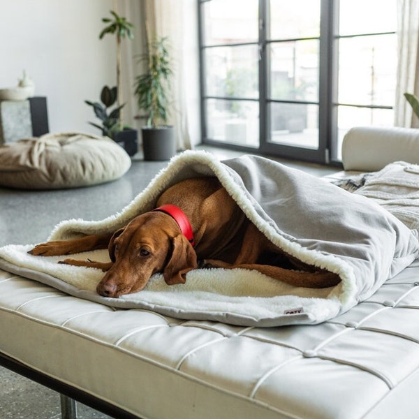 Dog Sleeping Bag Etsy