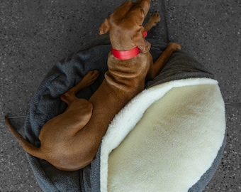 Vizsla sales cave bed