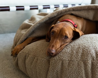 Round dog cave bed Plush brown boucle Puppy donut bed Anti anxiety Calming Nesting dog mattress