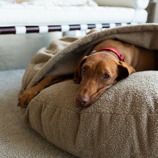 Lit de grotte pour chien rond Boucle brune en peluche Lit de beignet pour chiot Anti-anxiété Apaisant Matelas pour chien de nidification