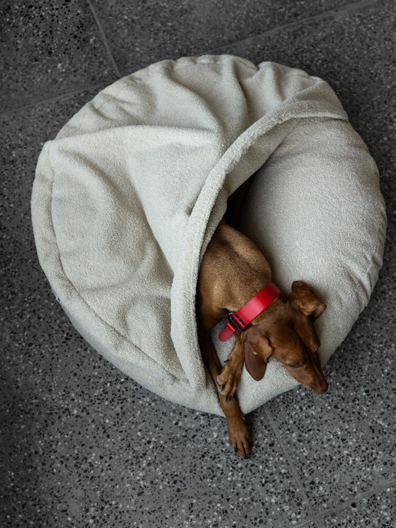 Pu&ograve; includere: Un piccolo cane marrone con un collare rosso riposa all'interno di una cuccia rotonda color crema. La cuccia &egrave; realizzata in un materiale morbido e strutturato, con una parte ripiegata, creando uno spazio accogliente e chiuso per il cane.