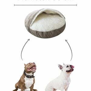 May include: A medium-sized, 33-inch diameter dog bed with a soft, plush interior and a neutral color scheme. The image also shows two dogs, a brown and white pit bull and a white French bulldog, looking up.