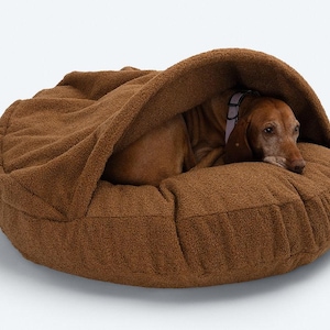 Pu&ograve; includere: Un letto per cani marrone con un design a cappuccio. Il letto &egrave; realizzato in un materiale morbido e strutturato e presenta un bordo rialzato e uno spazio accogliente e chiuso. Un cane marrone con un collare viola riposa all'interno del letto.