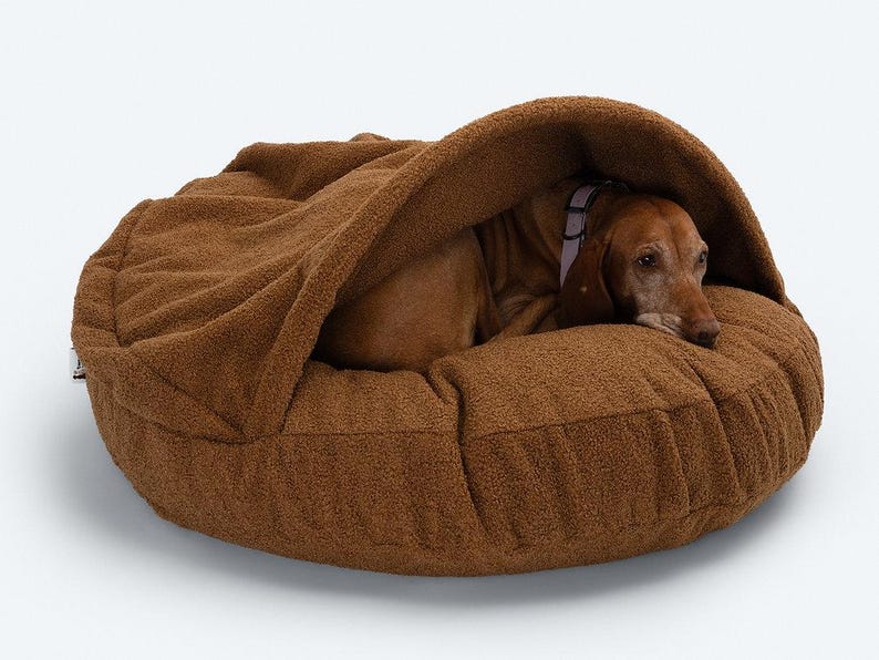 Pu&ograve; includere: Un letto per cani marrone con un design a cappuccio. Il letto &egrave; realizzato in un materiale morbido e strutturato e presenta un bordo rialzato e uno spazio accogliente e chiuso. Un cane marrone con un collare viola riposa all'interno del letto.