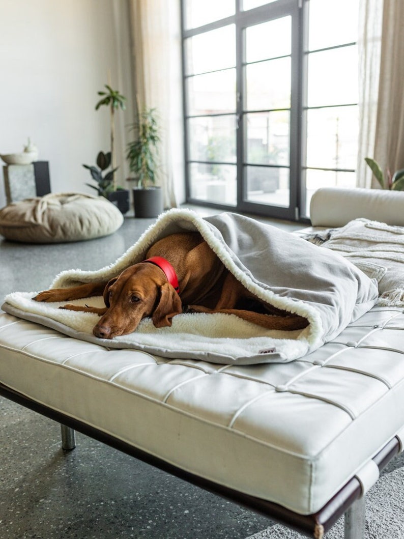 May include: A brown dog wearing a red collar rests on a white leather bench, covered by a gray blanket with a fluffy, white interior. The dog bed is designed for comfort and relaxation, perfect for pets.