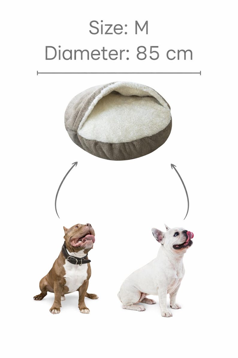 May include: A medium-sized, round dog bed with a diameter of 33 inches. The bed is two-toned, with a light brown exterior and a soft, white interior. Two dogs are shown below the bed.
