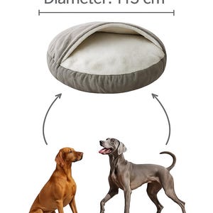 May include: XL dog bed, 45 inches in diameter, with a gray exterior and a white interior. The image shows two dogs, a brown Vizsla and a gray Weimaraner, near the bed.