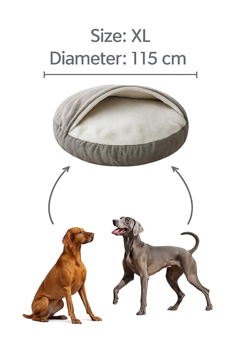 May include: XL dog bed, 45 inches in diameter, with a gray exterior and a white interior. The image shows two dogs, a brown Vizsla and a gray Weimaraner, near the bed.