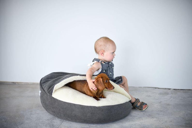 May include: A gray dog bed with a soft, cream-colored interior. A brown dachshund dog is inside the bed. A young child is sitting next to the bed, petting the dog. The bed is oval-shaped and has a hood.
