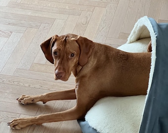 Vizsla, Pointer, Weimaraner Dog Bed, Nesting Cave with Hood, Washable Bed for Large Dogs
