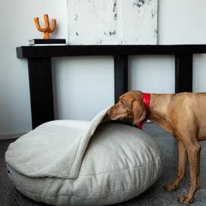 Pu&ograve; includere: Un letto per cani beige con un bordo rialzato, che offre uno spazio accogliente per gli animali domestici. Un cane marrone con un collare rosso interagisce con il letto. Il letto &egrave; rotondo e realizzato in un tessuto strutturato. Lo sfondo include un tavolo nero e arte astratta.