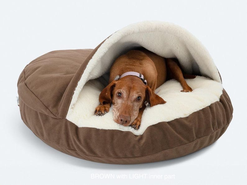 May include: A brown dog bed with a hooded design. The bed has a brown exterior and a soft, cream-colored interior. A brown dog with a pink collar is resting inside the bed.